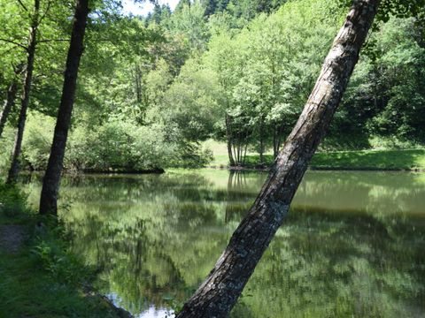 Camping-Base de Loisirs "La Forêt" Tarn - Camping Tarn - Image N°31