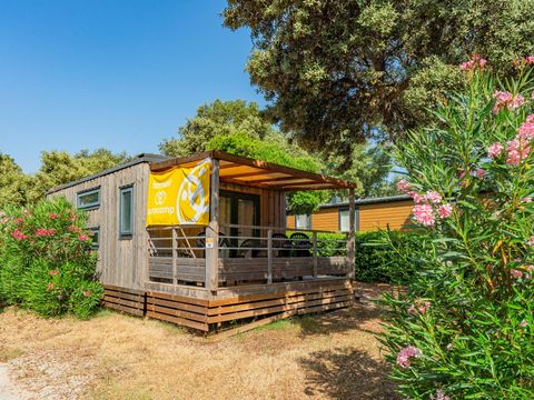 Camping du Domaine de Massereau - Camping Gard - Image N°19