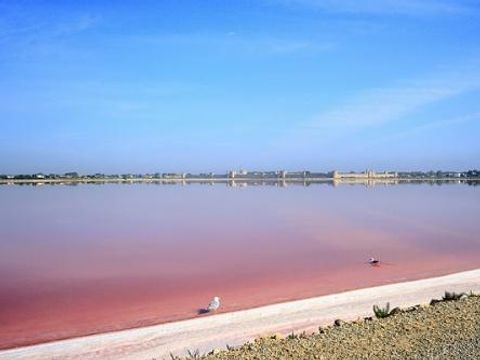 Camping le Domaine de Gajan - Camping Hérault - Image N°62