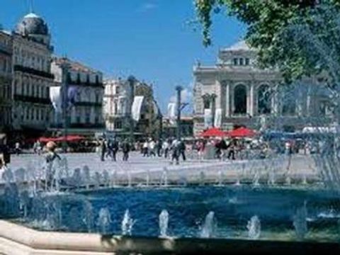 Camping le Domaine de Gajan - Camping Hérault - Image N°65