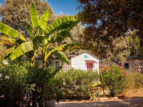 Camping le Domaine de Gajan - Camping Hérault - Image N°14