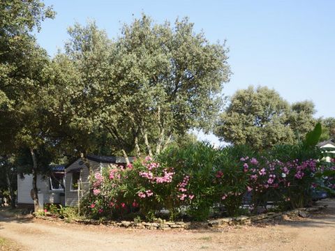Camping le Domaine de Gajan - Camping Hérault - Image N°17