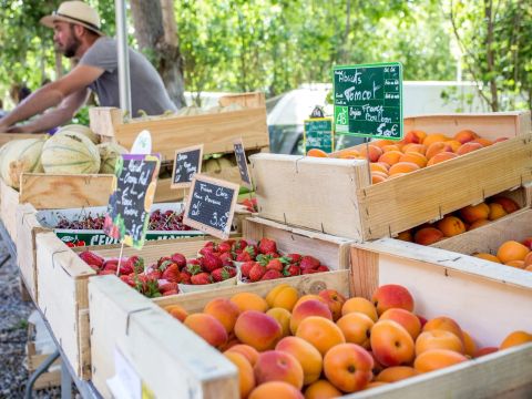 Camping Saint Gabriel - Camping Bouches-du-Rhône