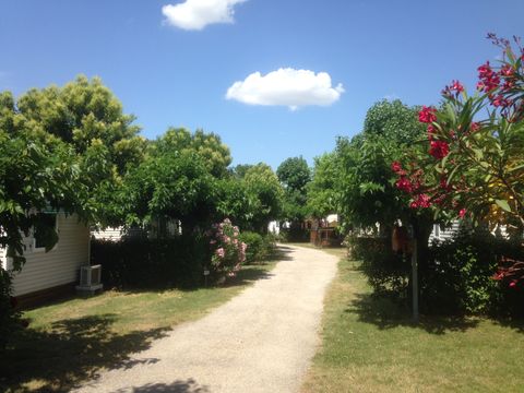 Camping Saint Gabriel - Camping Bouches-du-Rhône - Image N°18