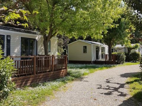 Camping Saint Gabriel - Camping Bouches-du-Rhône - Image N°8