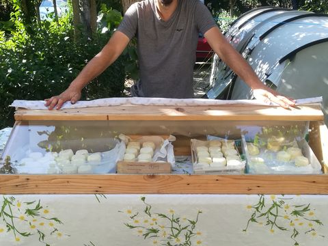 Camping Saint Gabriel - Camping Bouches-du-Rhône