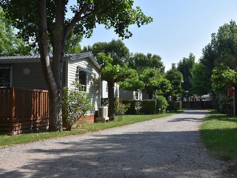 Camping Saint Gabriel - Camping Bouches-du-Rhône - Image N°17