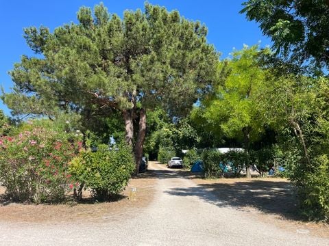 Camping Pegomas Pausado - Camping Bouches-du-Rhône - Image N°16