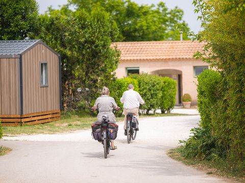 Camping Pegomas Pausado - Camping Bouches-du-Rhône - Image N°15