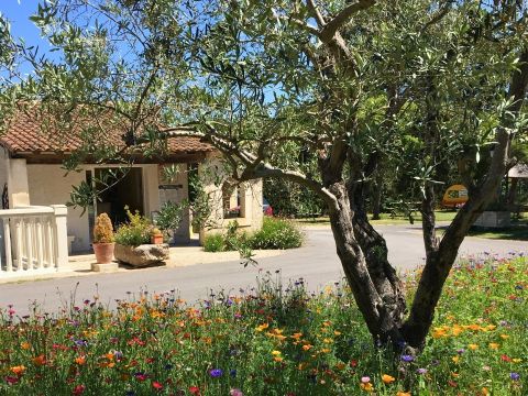 Camping Pegomas Pausado - Camping Bouches-du-Rhône - Image N°9