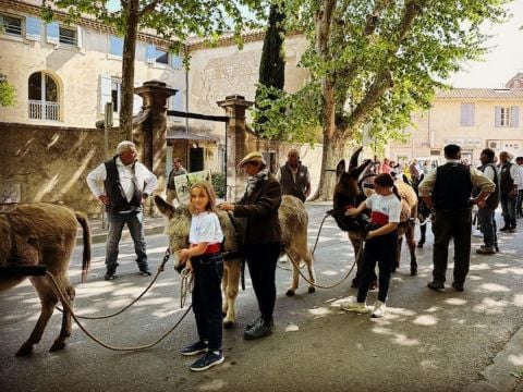 Camping Pegomas Pausado - Camping Bouches-du-Rhône - Image N°26