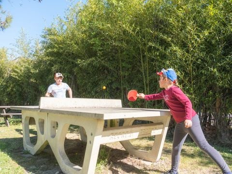 Camping Pegomas Pausado - Camping Bouches-du-Rhône - Image N°3