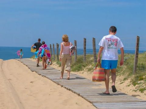 Camping Paradis - Albret - Camping Landes - Image N°3