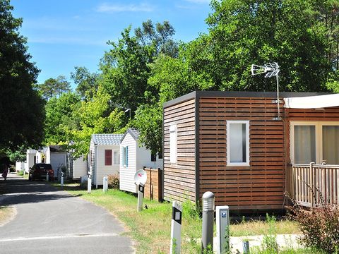 Camping Le Moussaillon - Camping Landes - Image N°2