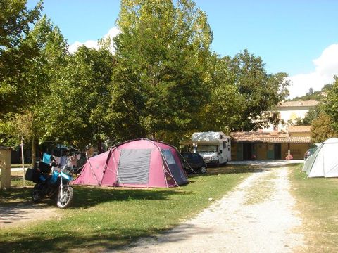 Camping Frederic Mistral - Camping Alpes-de-Haute-Provence - Image N°13