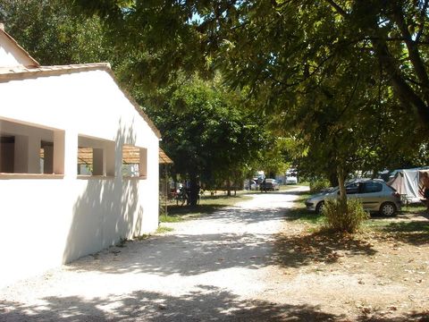 Camping Frederic Mistral - Camping Alpes-de-Haute-Provence - Image N°11