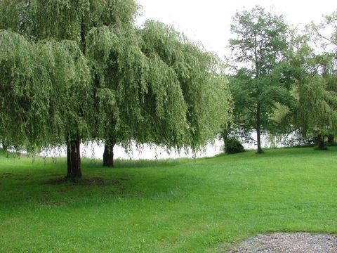 CHALET 5 personnes - CLUB 89