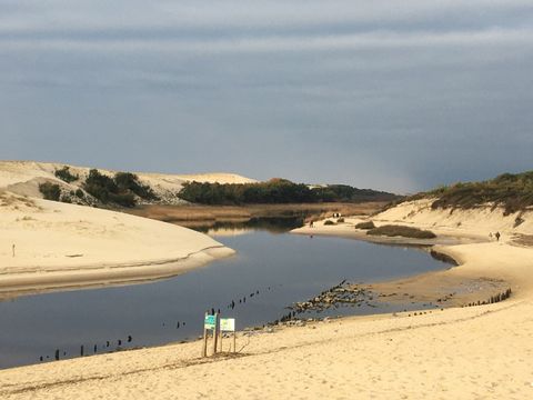 Camping L'oceane - Camping Landes - Image N°20