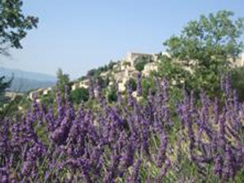 Camping Les Routes de Provence - Camping Alpes-de-Haute-Provence - Image N°42