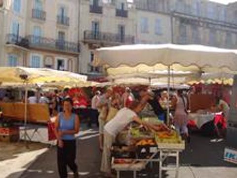 Camping Les Routes de Provence - Camping Alpes-de-Haute-Provence - Image N°41