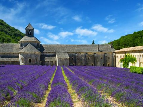 Camping Les Routes de Provence - Camping Alpes-de-Haute-Provence - Image N°47