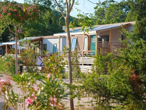 Flower Camping l'Epi Bleu - Camping Alpes-de-Haute-Provence - Afbeelding N°5