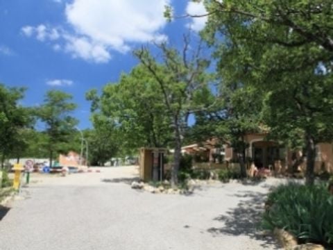 Flower Camping l'Epi Bleu - Camping Alpes-de-Haute-Provence