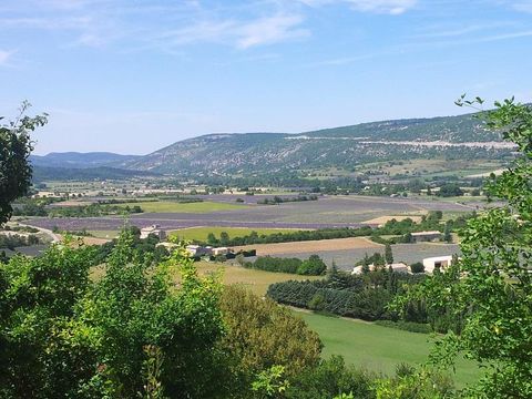Flower Camping l'Epi Bleu - Camping Alpes-de-Haute-Provence - Image N°33