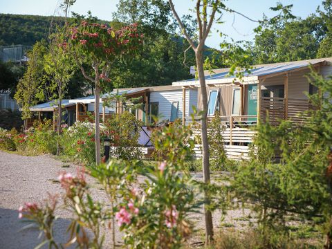 Flower Camping l'Epi Bleu - Camping Alpes-de-Haute-Provence - Image N°9