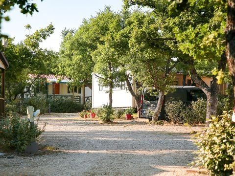 Flower Camping l'Epi Bleu - Camping Alpes-de-Haute-Provence - Image N°6