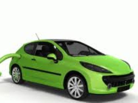 Flower Camping l'Epi Bleu - Camping Alpes-de-Haute-Provence - Image N°17