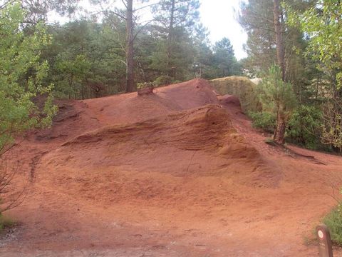 Flower Camping l'Epi Bleu - Camping Alpes-de-Haute-Provence - Image N°45