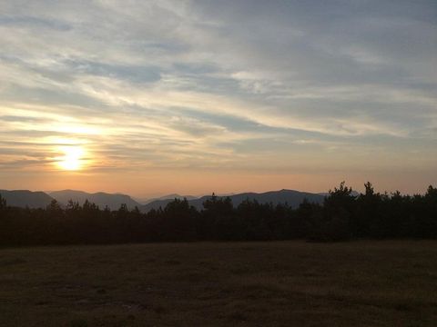 Flower Camping l'Epi Bleu - Camping Alpes-de-Haute-Provence - Image N°41