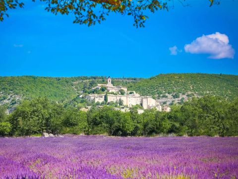 Flower Camping l'Epi Bleu - Camping Alpes-de-Haute-Provence - Image N°34