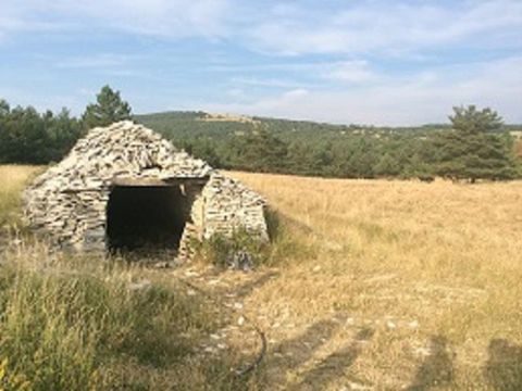 Flower Camping l'Epi Bleu - Camping Alpes-de-Haute-Provence - Image N°42