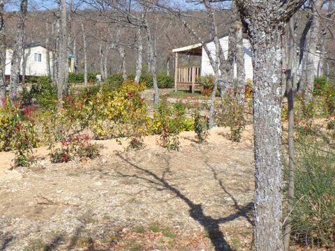 Flower Camping l'Epi Bleu - Camping Alpes-de-Haute-Provence - Image N°29