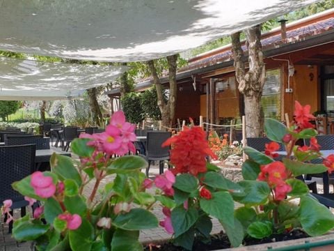 Centro Vacanze San Marino - Camping Pesaro-Urbino - Image N°32