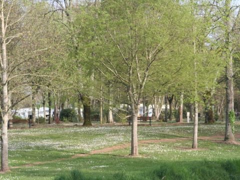Emplacement - Camping