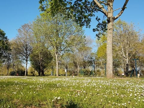 Emplacement - Camping