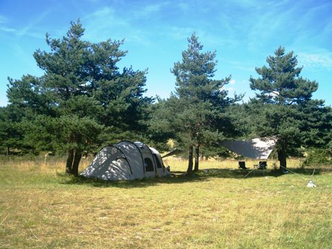 Emplacement - Emplacement : voiture + tente/caravane ou camping-car
