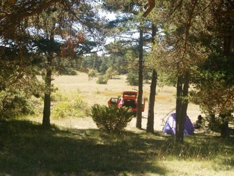 Emplacement - Emplacement : voiture + tente/caravane ou camping-car
