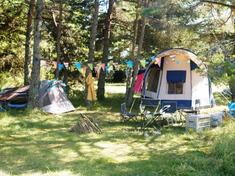 Emplacement - Emplacement : voiture + tente/caravane ou camping-car