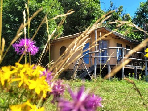 Camping Domaine de Pradines - Camping Gard - Image N°17