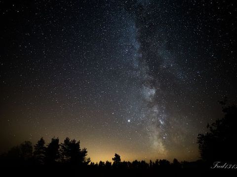 Camping Domaine de Pradines - Camping Gard - Image N°51