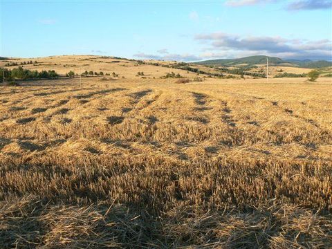 Camping Domaine de Pradines - Camping Gard - Image N°38