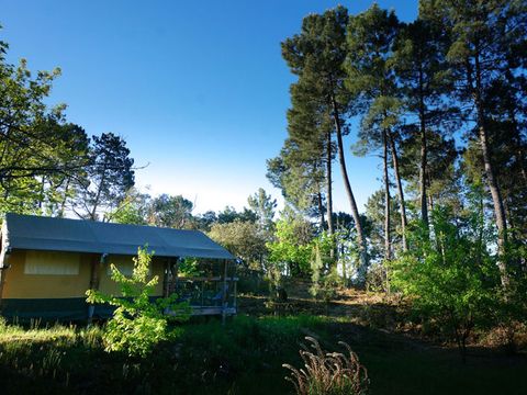 Tente en toile et en bois 5 personnes - Baroudeur (sans salle de bain privative)