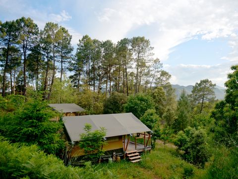 TENTE TOILE ET BOIS 4 personnes - Baroudeur (sans salle de bain privative)