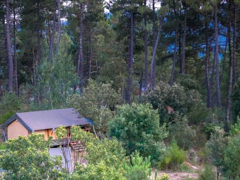 Bivouac nature - Camping Gard - Image N°9