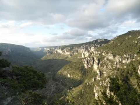 Bivouac nature - Camping Gard - Image N°36