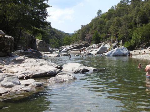 Camping La Berge Fleurie - Camping Gard - Image N°14